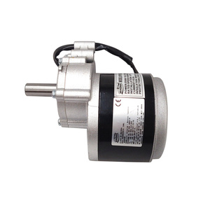 Silnik DC z przekładnią 24V 250W 1016WZ do wózków inwalidzkich elektrycznych motoreduktor PMDC 160 RPM 1016LZ zdjęcie nr 3