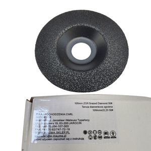 Tarcza diamentowa zgrubna 100 pad do szlifowania 100x22,2 zdjęcie nr 1