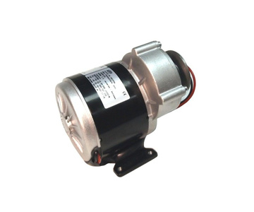 Silnik DC z przekładnią 24V 350W 1016z L-R elektrycznego z rolką kołem pasowym zdjęcie nr 7