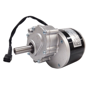 Silnik DC z przekładnią 24V 250W 1016WZ do wózków inwalidzkich elektrycznych motoreduktor PMDC 120RPM 1016LZ zdjęcie nr 1