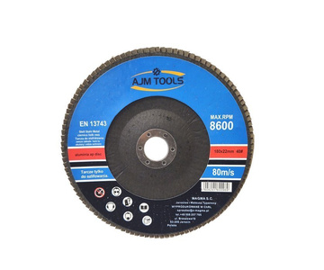 Tarcze lamelowe FI 180 gr 40 P40 lamelki tarcze listowe tarcza listkowa lamelowa lamelka zdjęcie nr 4