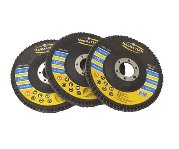 Tarcza tarcze lamelka listkowa 115mm gr 60 10 sztuk do metalu Magma płytkowa płytkowe