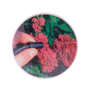 Ręczny opryskiwacz ciśnieniowy 8L Opryskiwcz ręczny opryskiwcz ciśnieniowy ręczny 8L spryskiwcz ręczny długa lanca zdjęcie nr 12