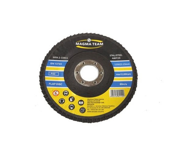 Tarcza tarcze do metalu szlifowania lamelka listkowa 125mm gr80 P80 Magma Tarcza lamelkowa Elektrokorund płytkowa płytkowe zdjęcie nr 1