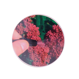 Ręczny opryskiwacz ciśnieniowy 8L Opryskiwcz ręczny opryskiwcz ciśnieniowy ręczny 8L spryskiwcz ręczny długa lanca zdjęcie nr 13