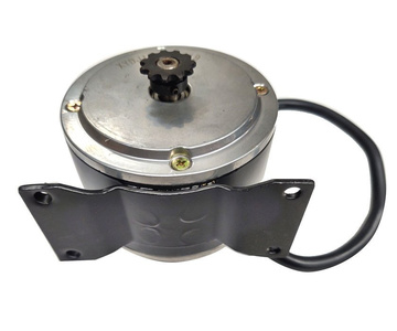 Silnik elektryczny 250W 24 XY XYD-6 XYD6 zdjęcie nr 5